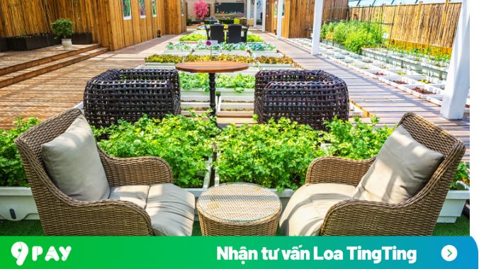 kinh doanh quán cafe sân vườn