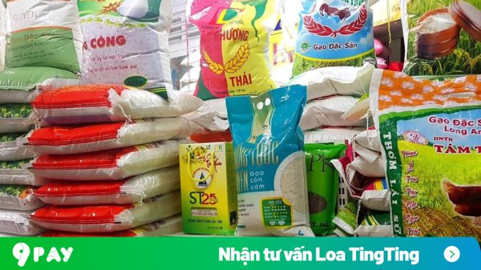 đại lý gạo quang huy loa tingting