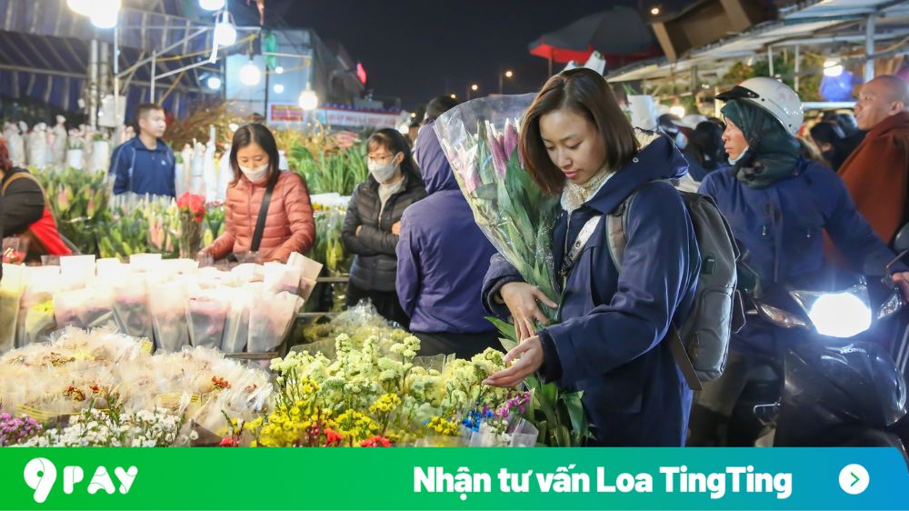 chợ hoa quảng an và loa tingting