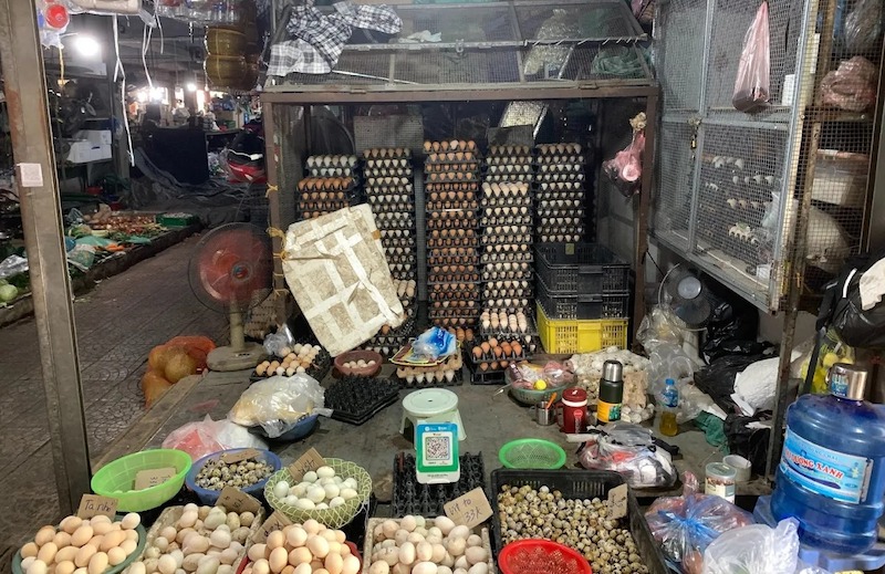 hình ảnh loa tingting