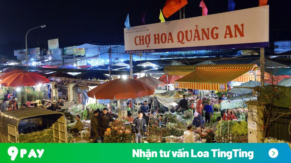 ND9n-cua-hang-hoa-quang-an-ung-dung-cong-nghe-thanh-toan-khong-tien-mat-loa-tingting